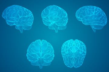 十大公认最香的花香植物