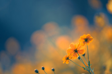 环保小儿歌六句