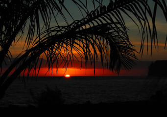 有木有六年级所学过的各种类型的应用题咯