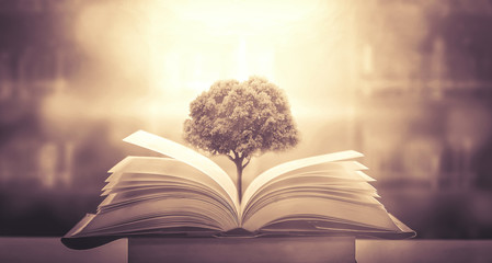 十大公认最香的花香植物