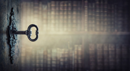 十大公认最香的花香植物