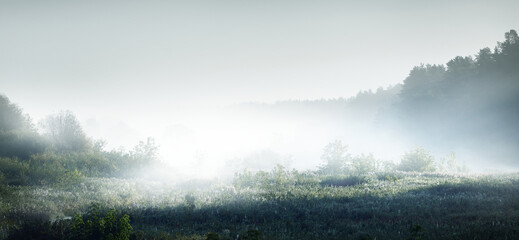 初中语文必读书目