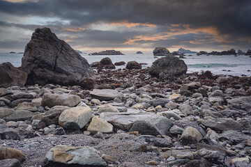 小学英语四年级下册科普Lesson 10的教案设计