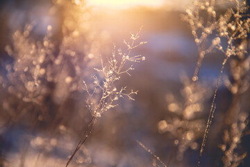 现在社会上哪个行业比较吃香？