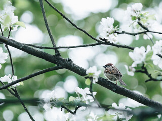 论语十则原文及翻译
