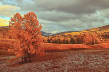 形容全力以赴的成语