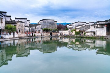 十大公认最香的花香植物