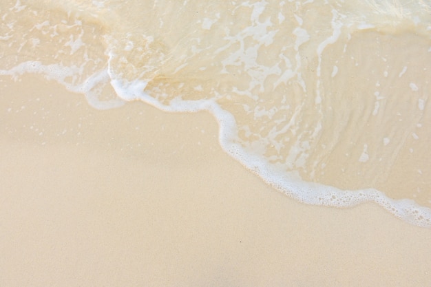 初中语文必读书目