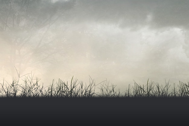 初中语文必读书目