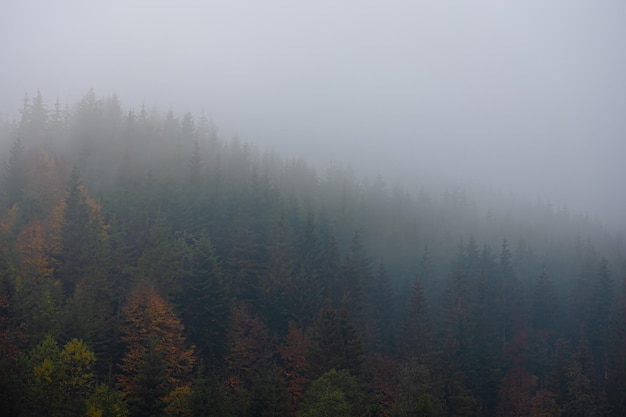 矿山安全知识竞赛题