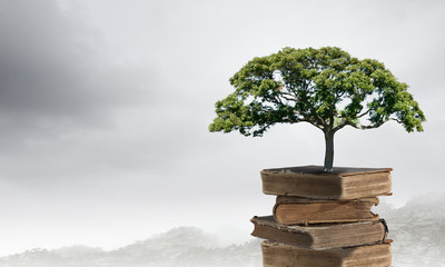 现在社会上哪个行业比较吃香？