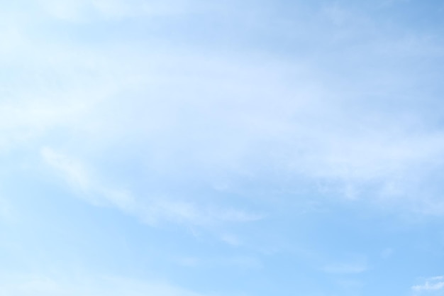 初中语文必读书目