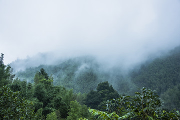初中语文必读书目